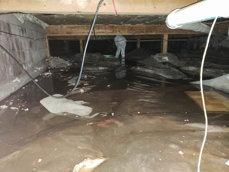 Encapsulated Crawlspace Interior